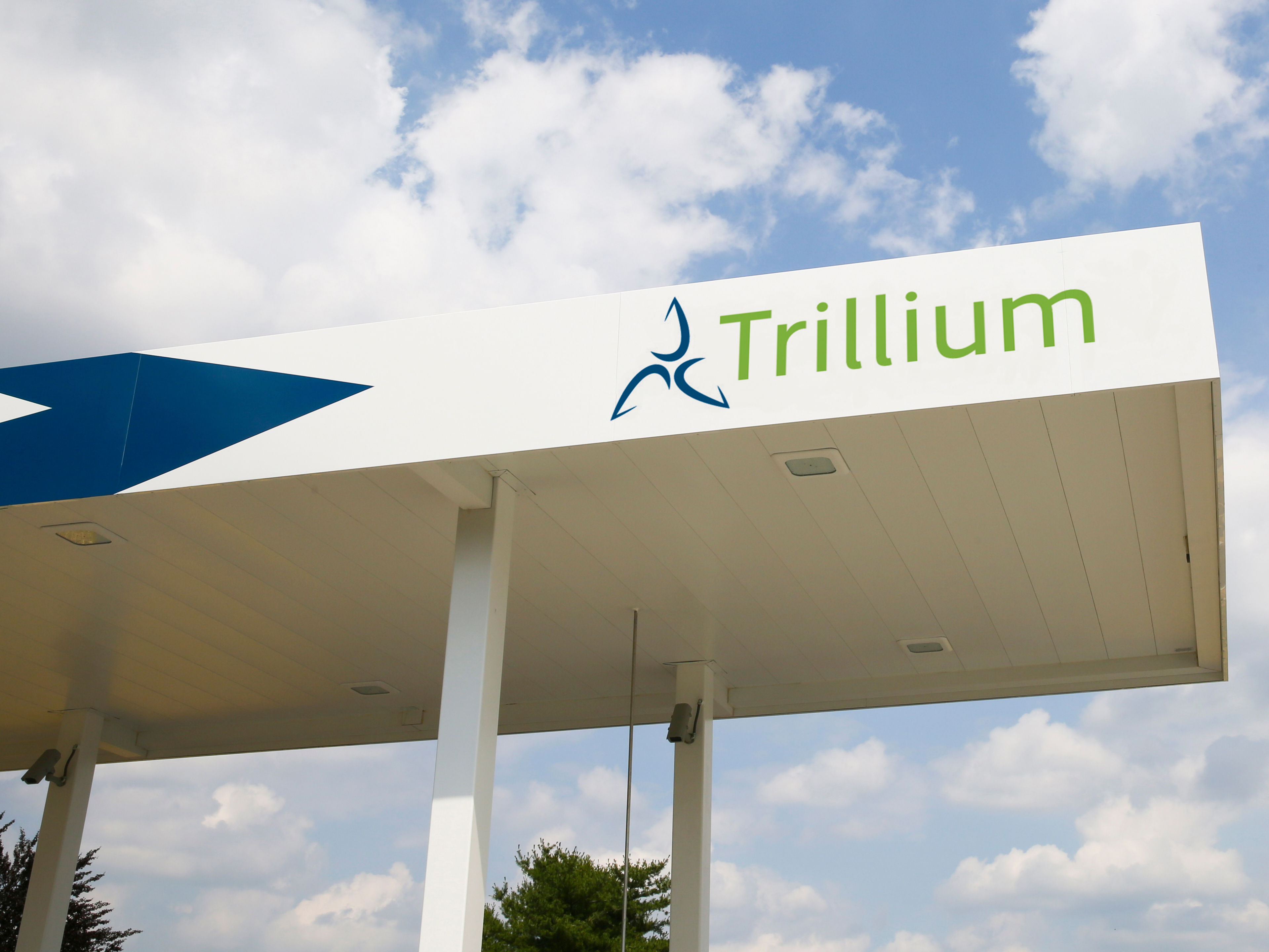 TRILIUM