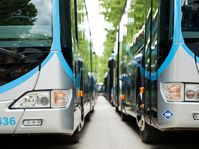 Buses with a CNG sticker on them